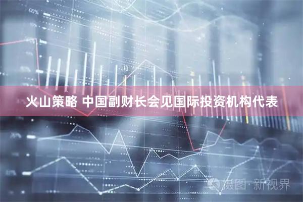 火山策略 中国副财长会见国际投资机构代表