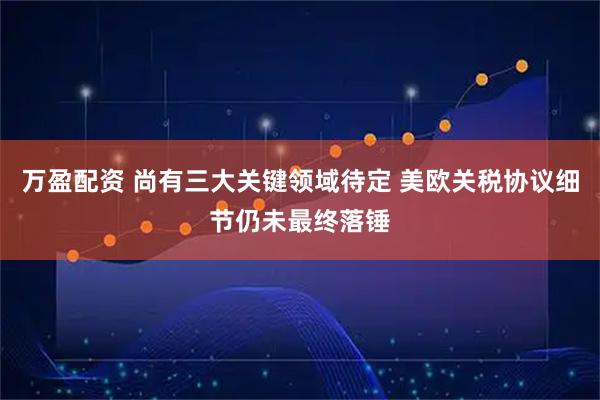 万盈配资 尚有三大关键领域待定 美欧关税协议细节仍未最终落锤