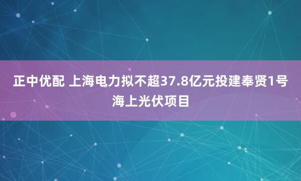 正中优配 上海电力拟不超37.8亿元投建奉贤1号海上光伏项目